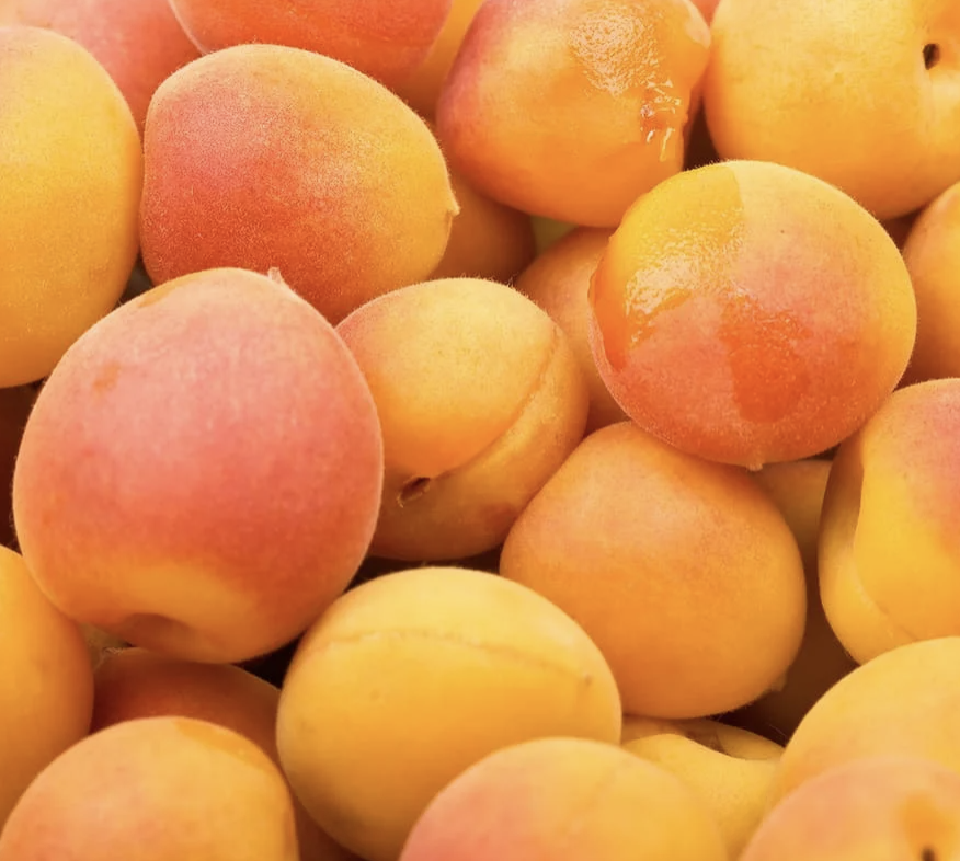 Apricots