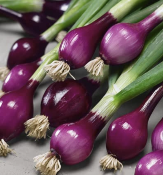 Red Spring Onions