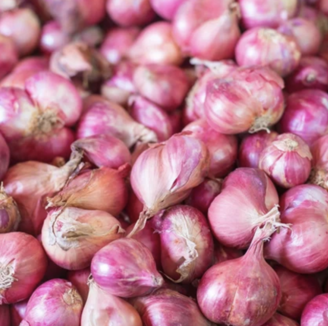 Shallots